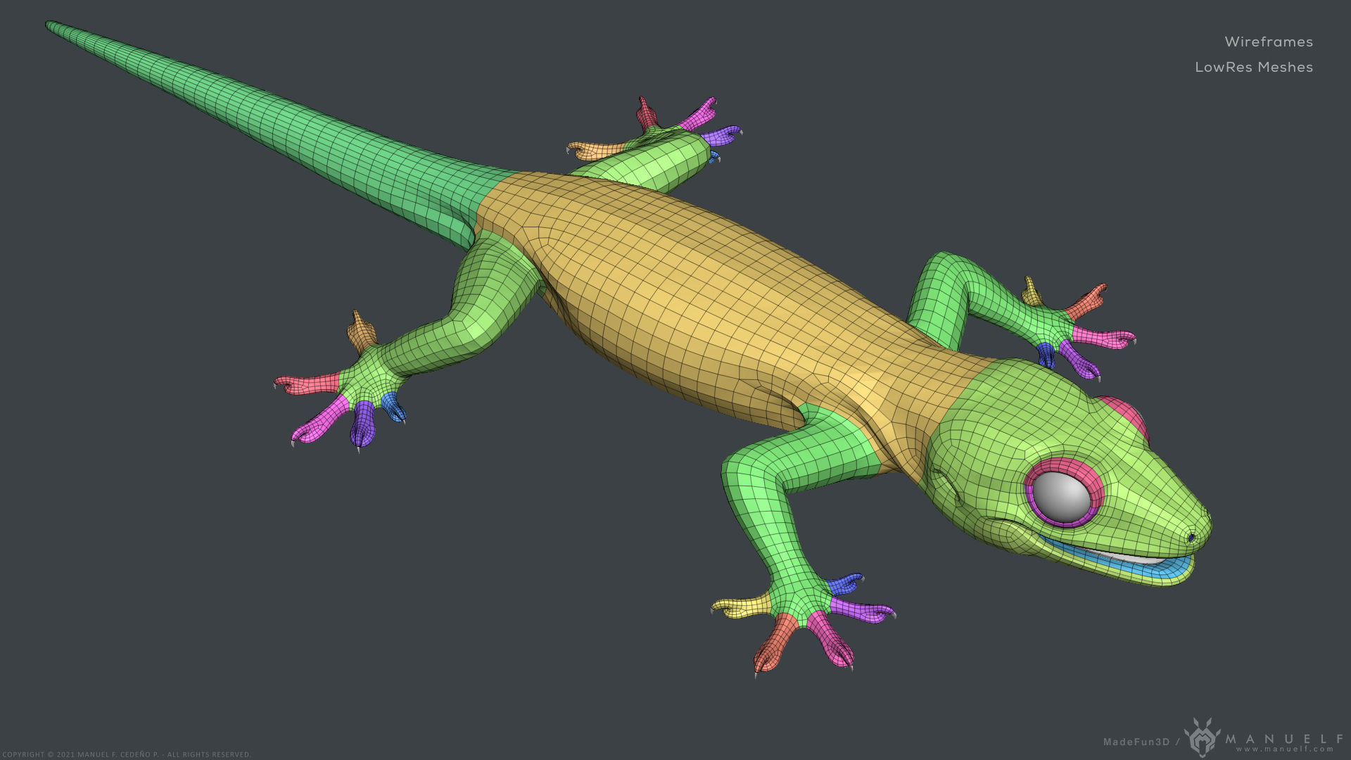 Tropical House Gecko Lizard - Highpoly Model 3D model_19