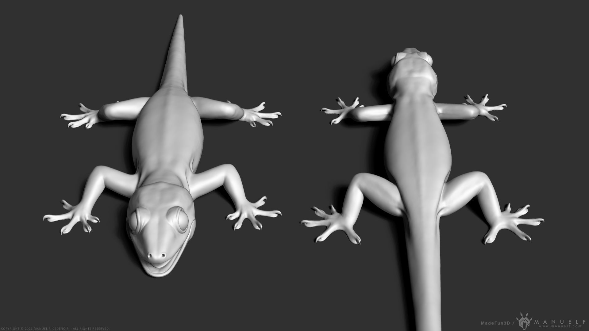 Tropical House Gecko Lizard - Highpoly Model 3D model_4