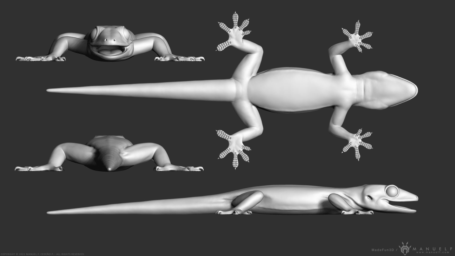 Tropical House Gecko Lizard - Highpoly Model 3D model_14