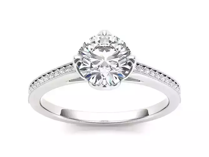 Solitaire ring model