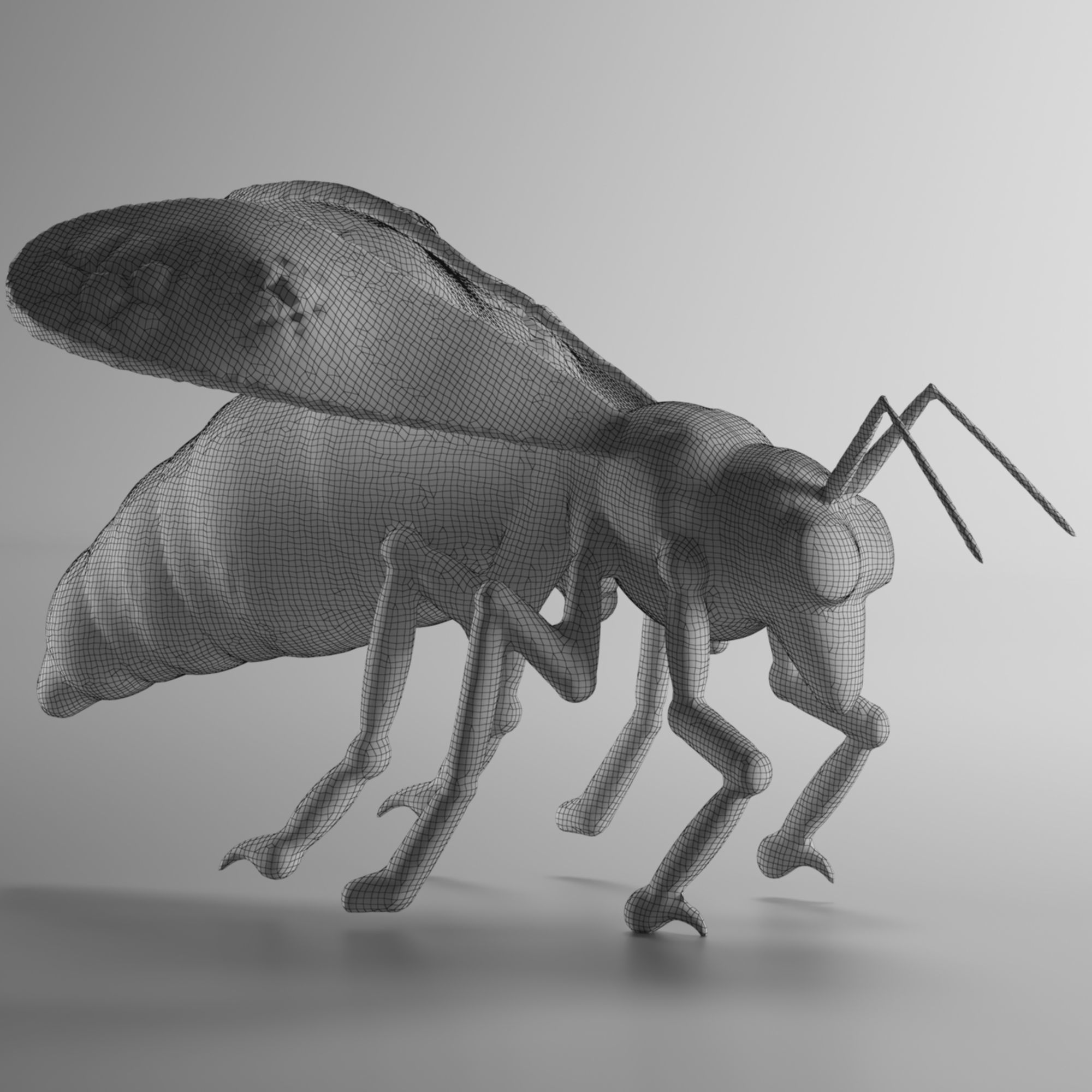 bee cartoon 3D model_2