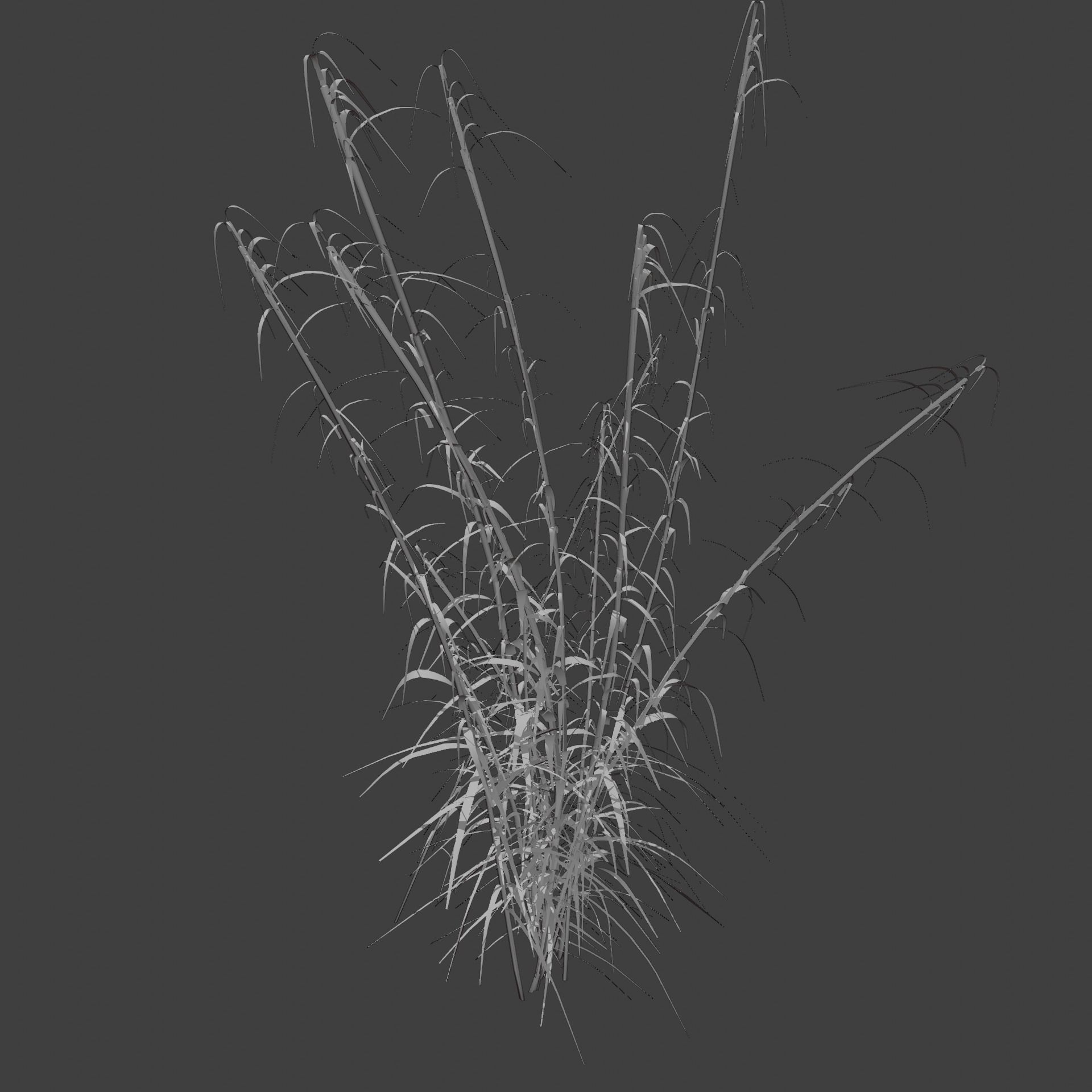 Reeds grass - grass 3D model_3