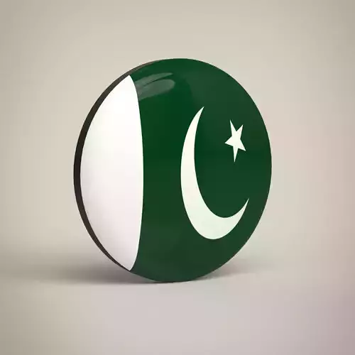 Pakistan Badge