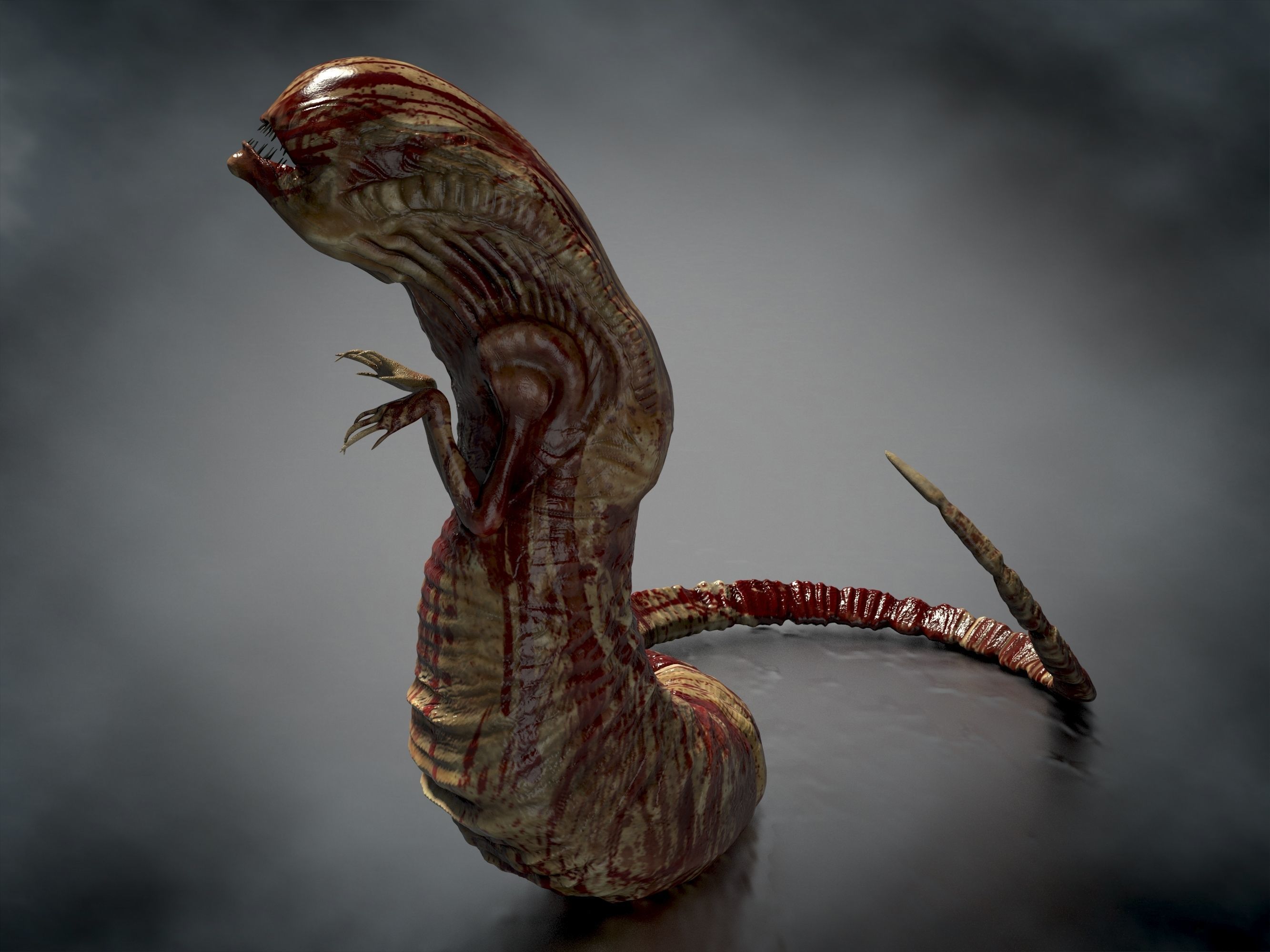 3D model Chestburster VR / AR / lowpoly rigged CGTrader