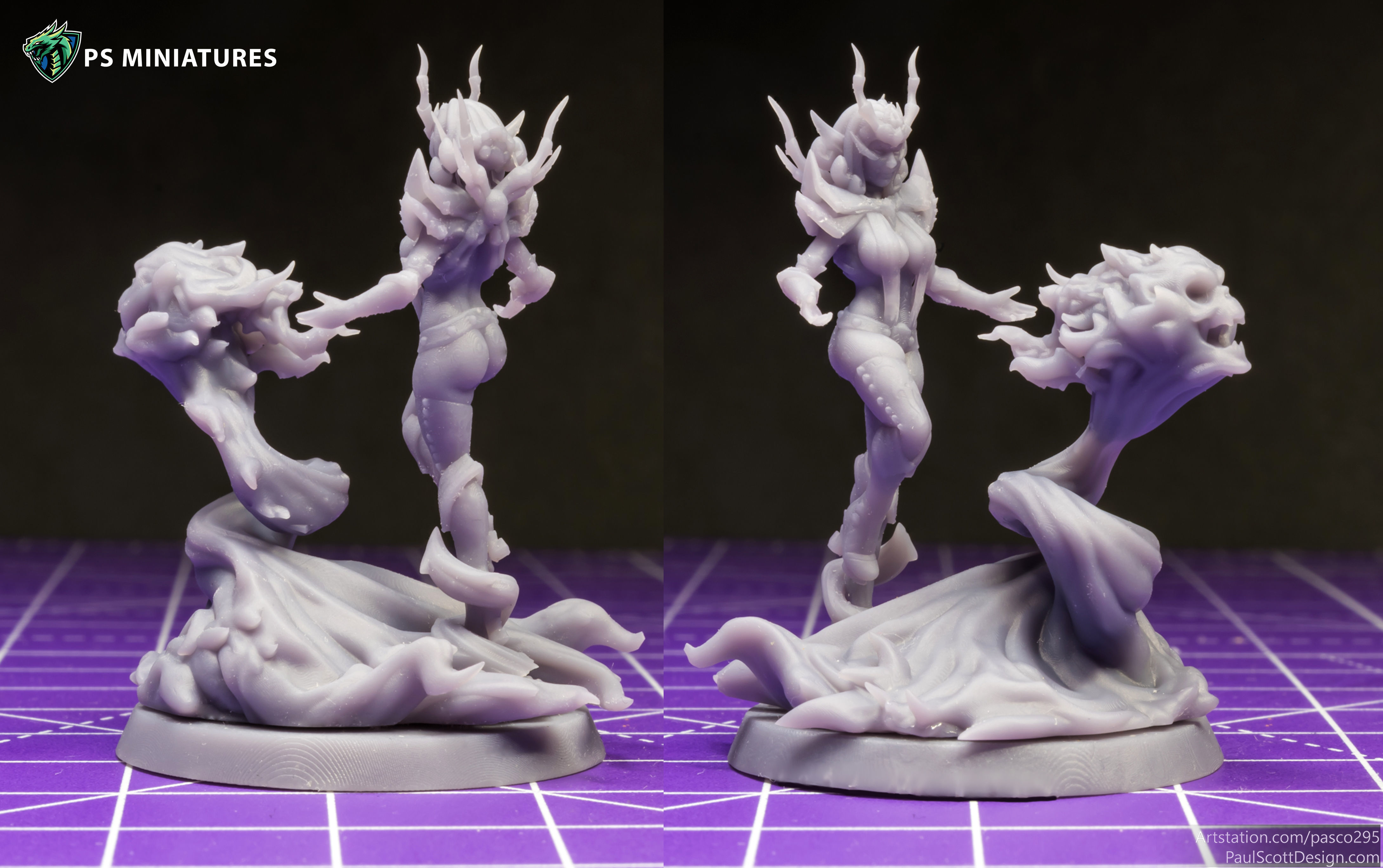 Drow Sorceress  Bundle  3D print model_20