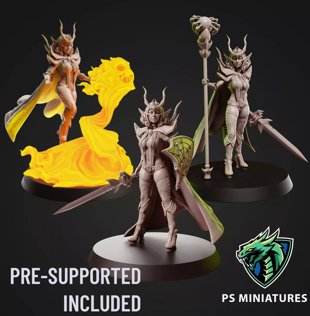 Drow Sorceress  Bundle  3D print model_0