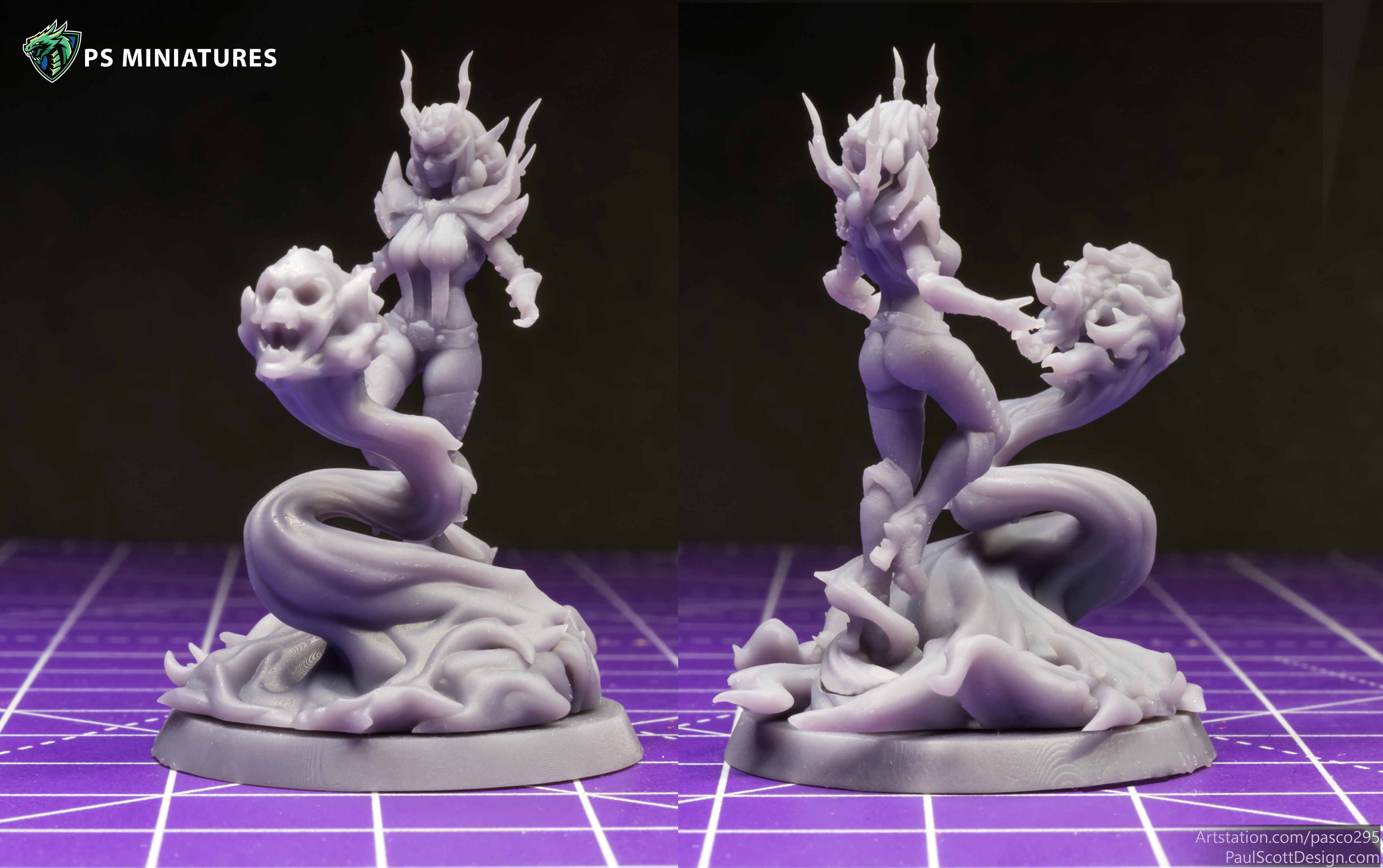Drow Sorceress  Bundle  3D print model_9