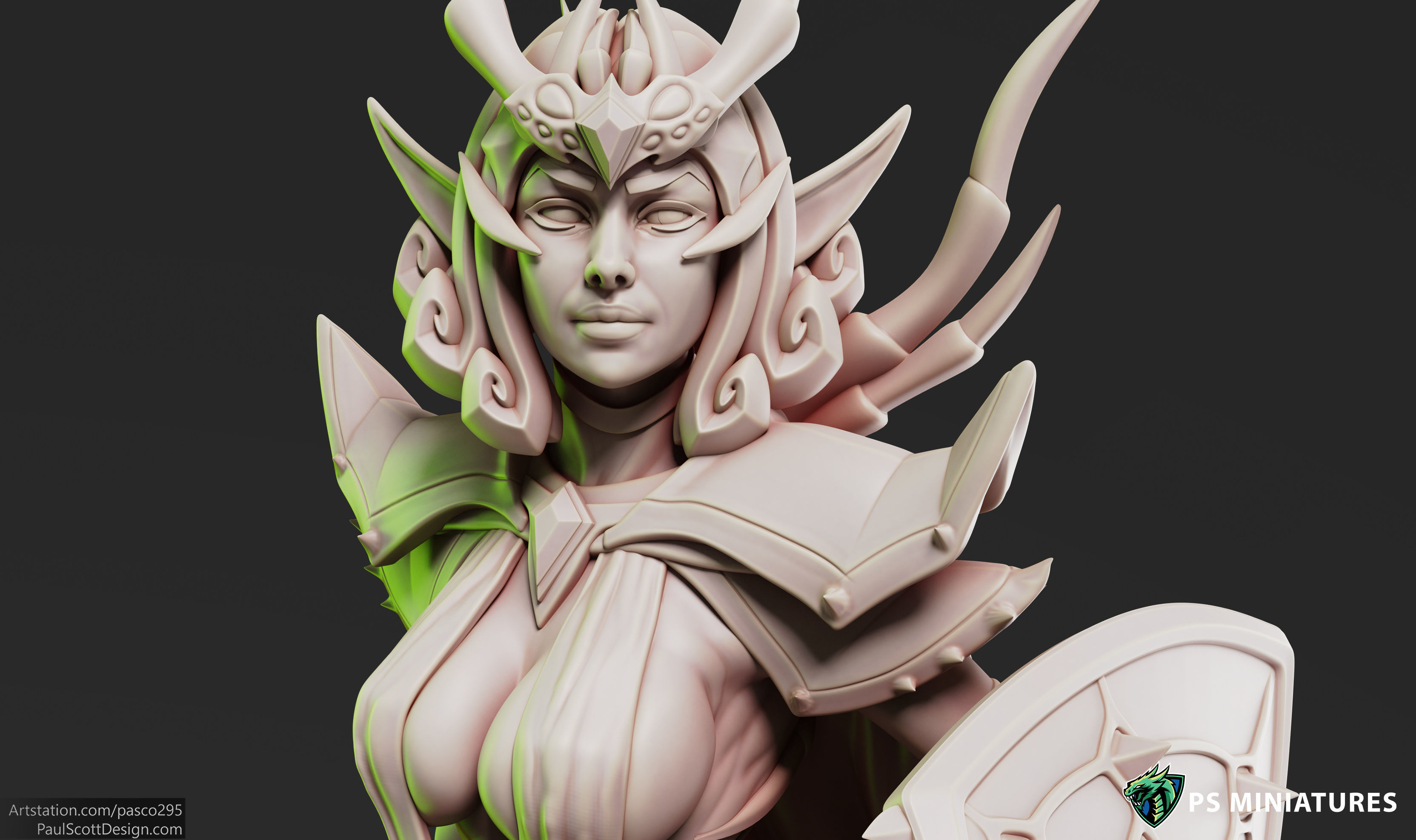 Drow Sorceress  Bundle  3D print model_36