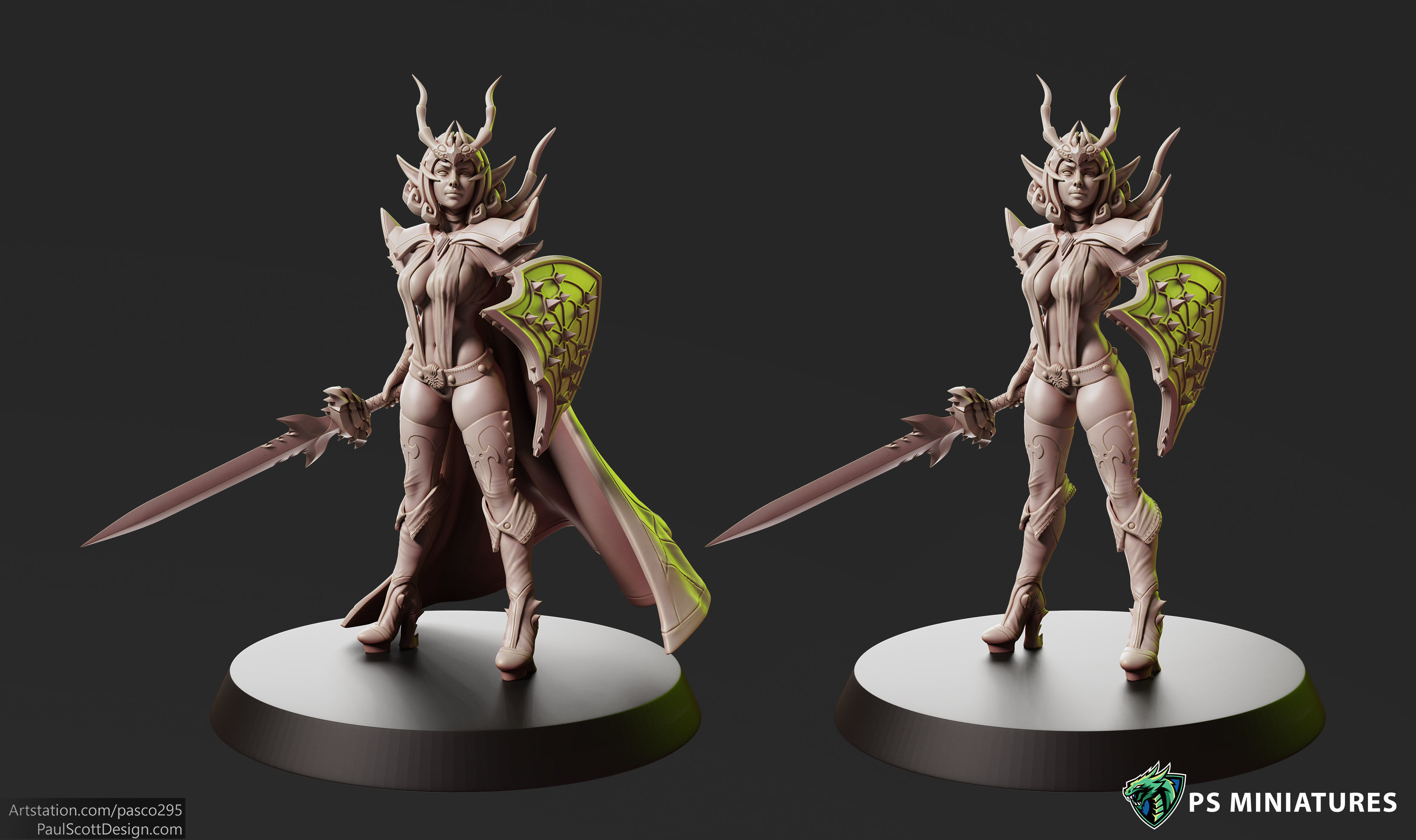 Drow Sorceress  Bundle  3D print model_3