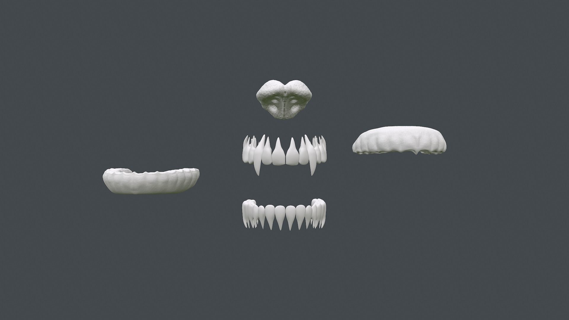 Monster Jaws 3D model_7