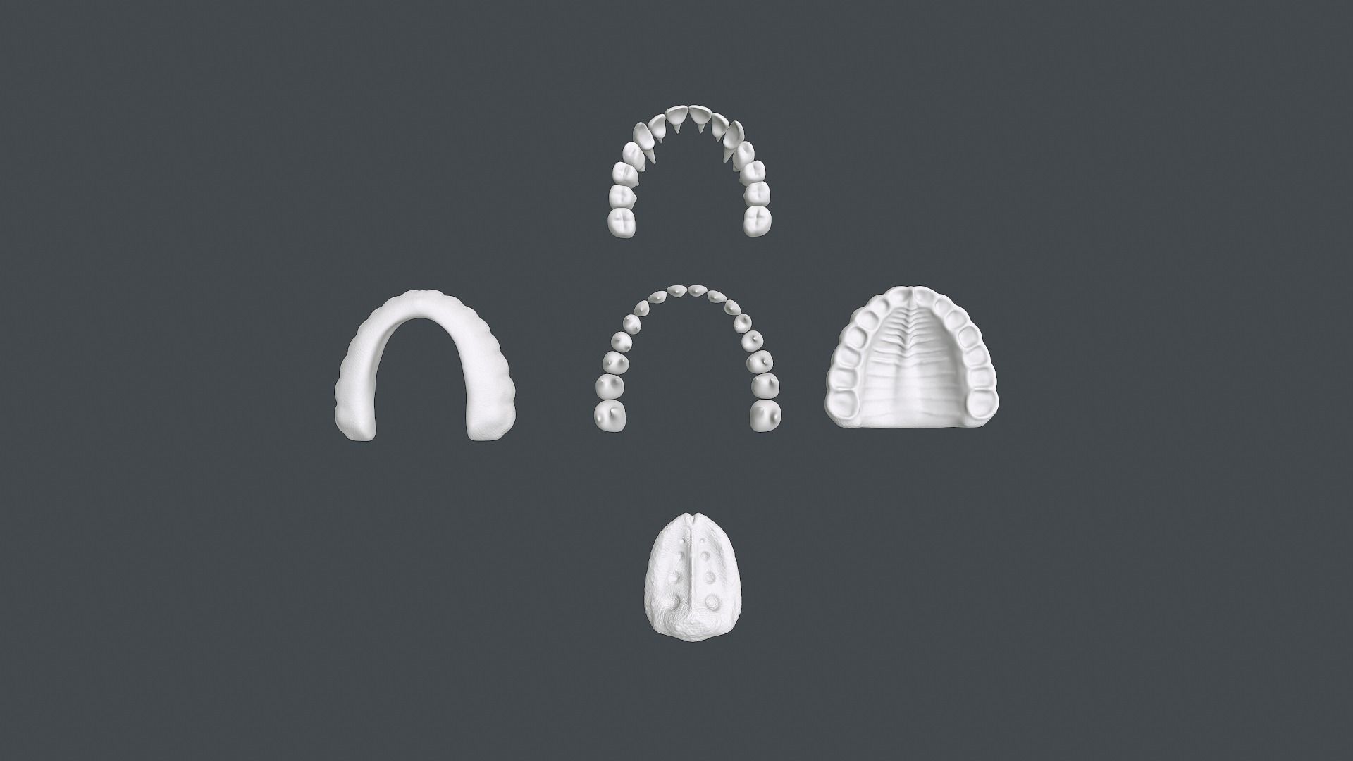 Monster Jaws 3D model_10