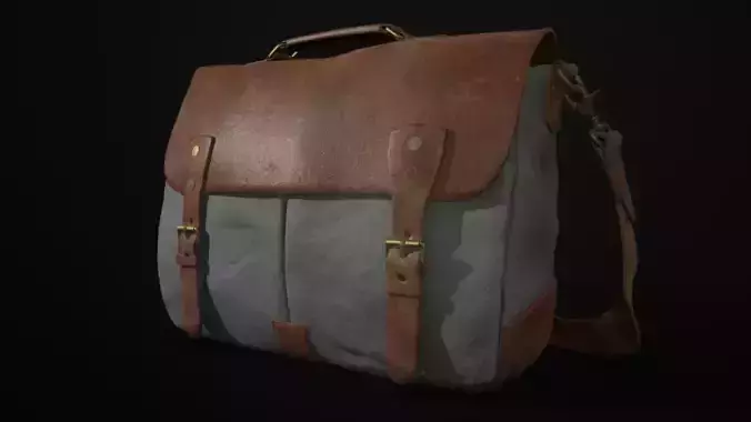 Canvas Leather Shoulder Bag 3D Model