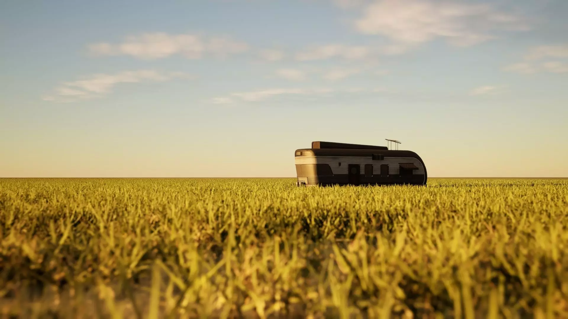 House in field Low-poly 3D model_0