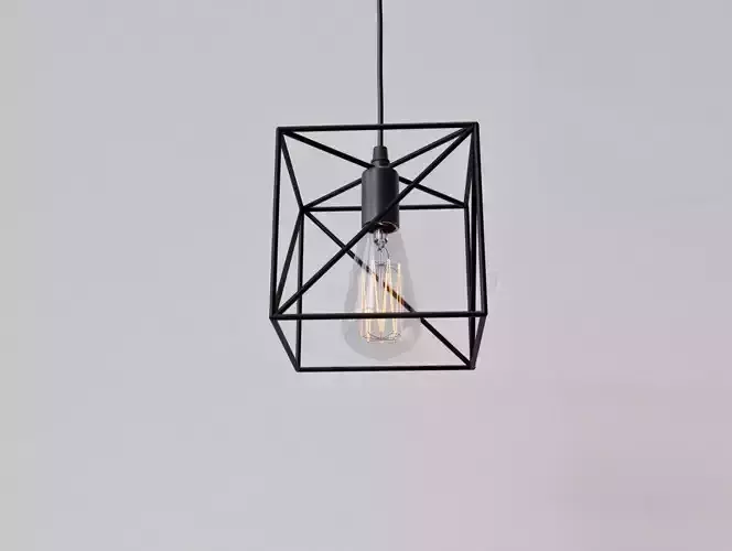 Light Bulb Cage  09