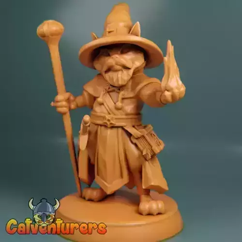 Cat Wizard  3D print model