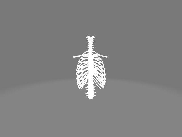 Backbone skeleton Low-poly 3D model_11