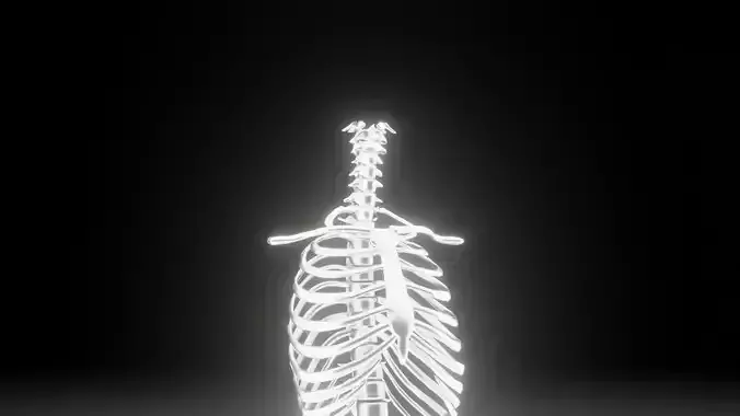Backbone skeleton