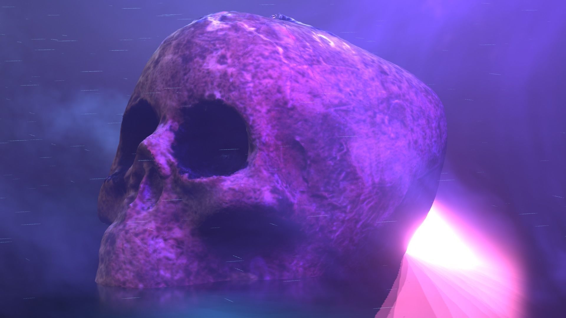 Realistic high resolution human Skulls 3D model_19