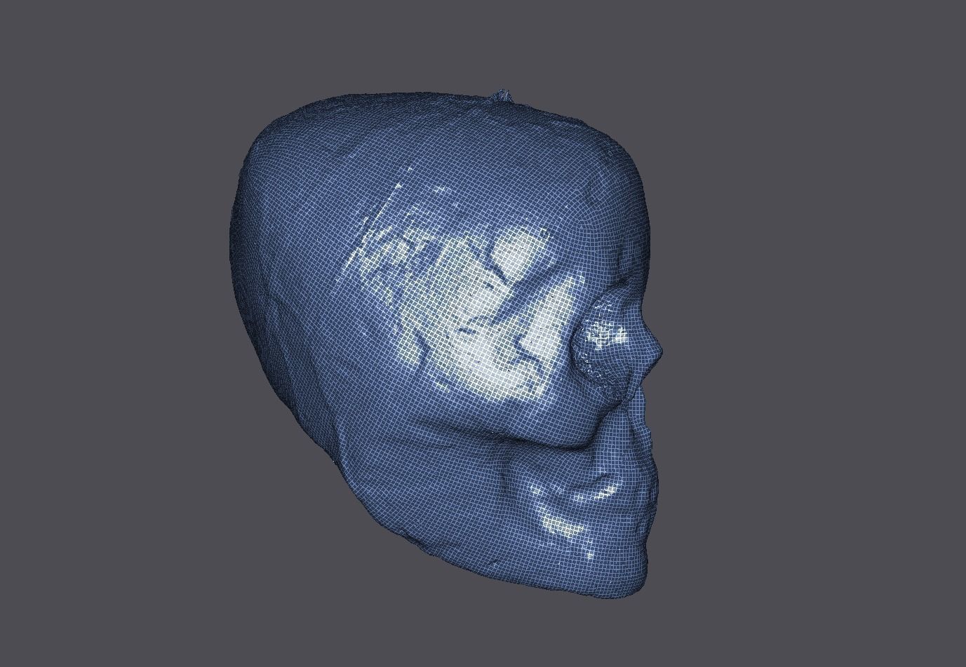Realistic high resolution human Skulls 3D model_12