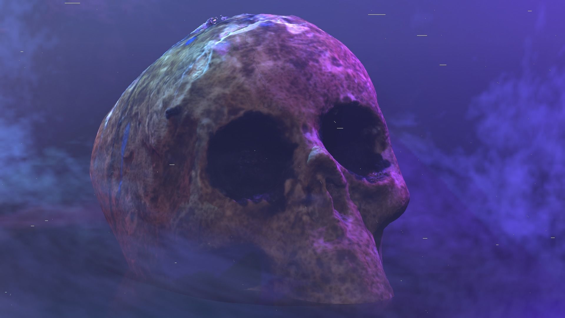 Realistic high resolution human Skulls 3D model_18