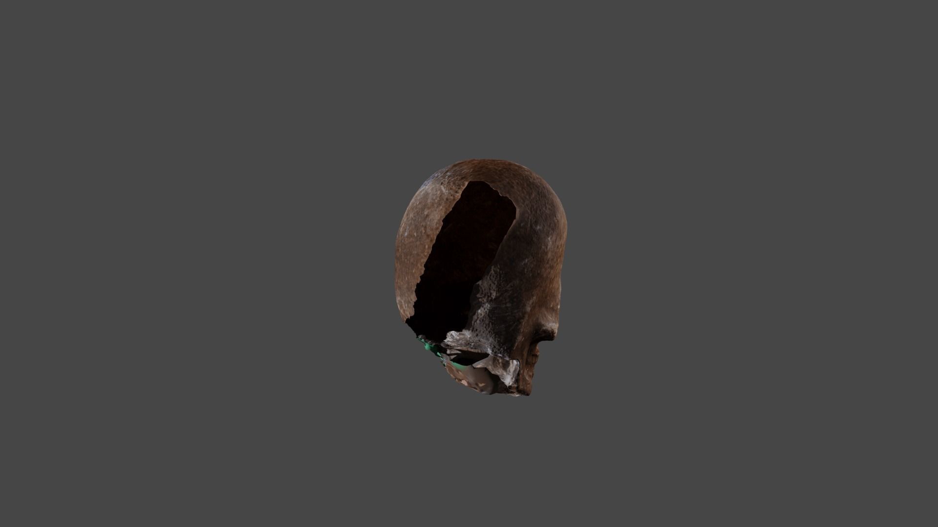Realistic high resolution human Skulls 3D model_16