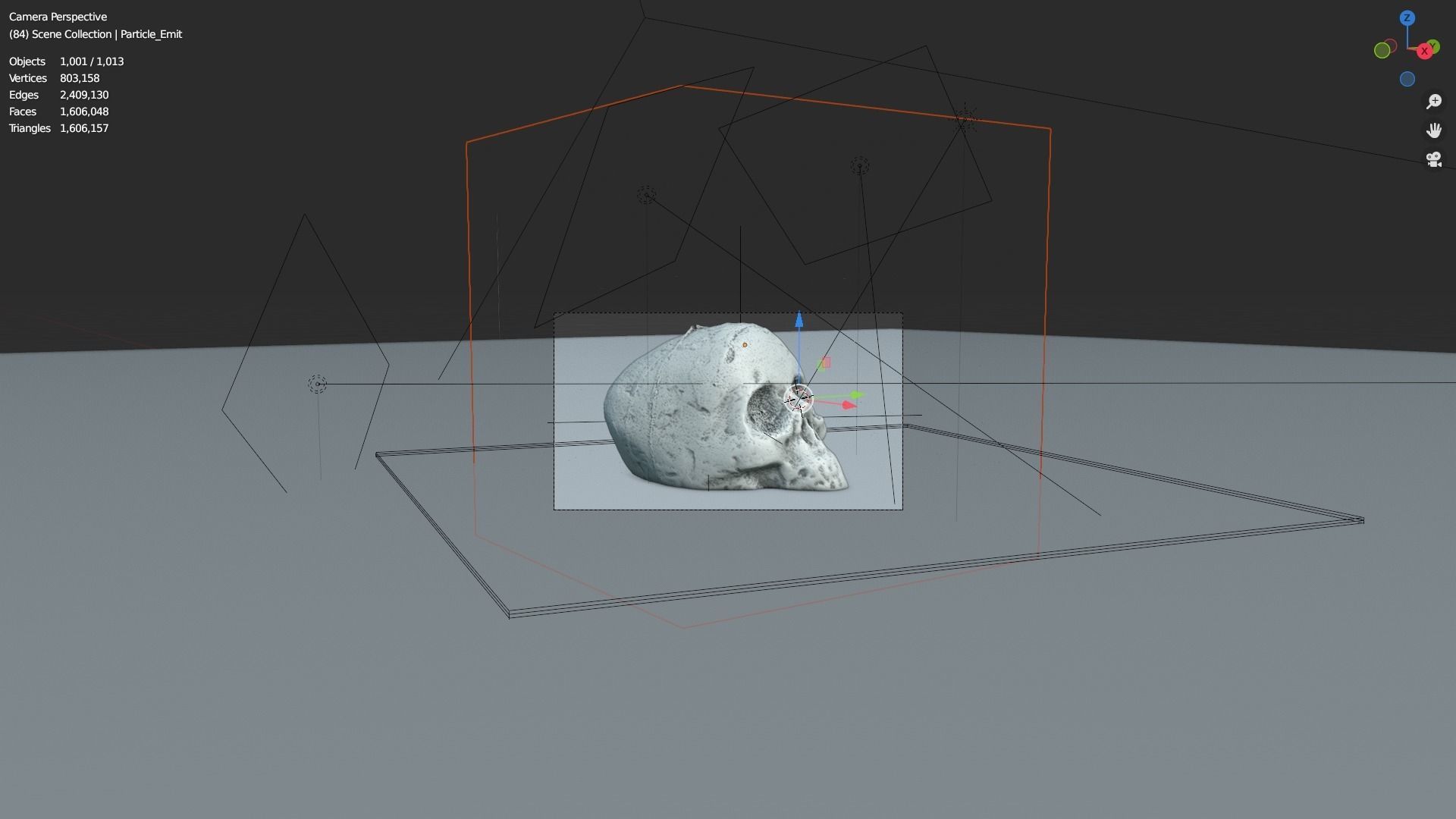 Realistic high resolution human Skulls 3D model_13