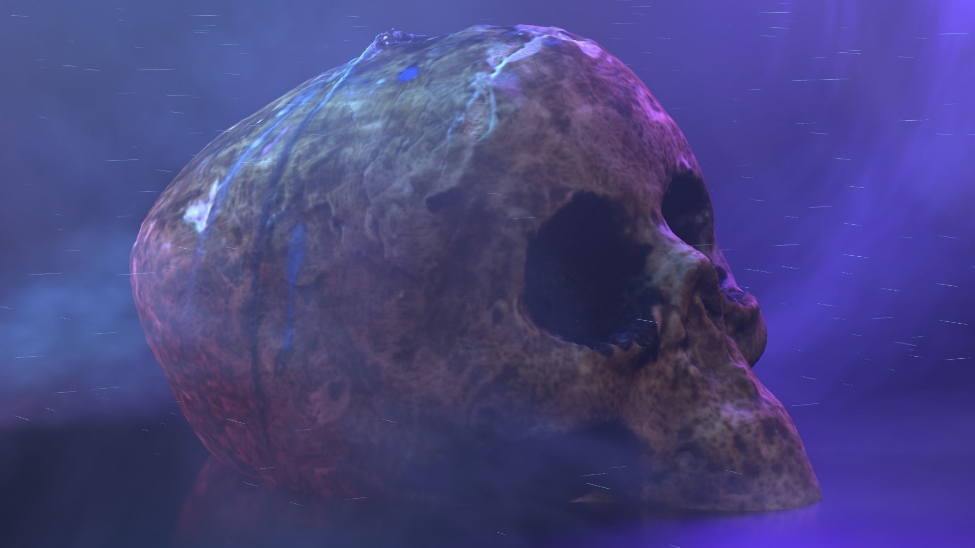 Realistic high resolution human Skulls 3D model_21