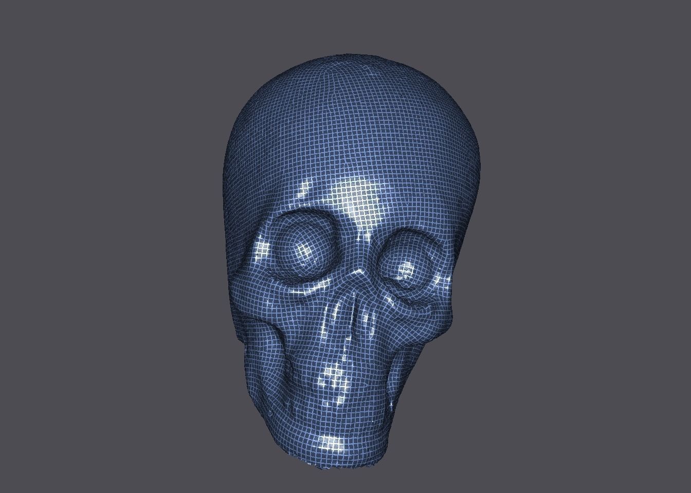 Realistic high resolution human Skulls 3D model_8