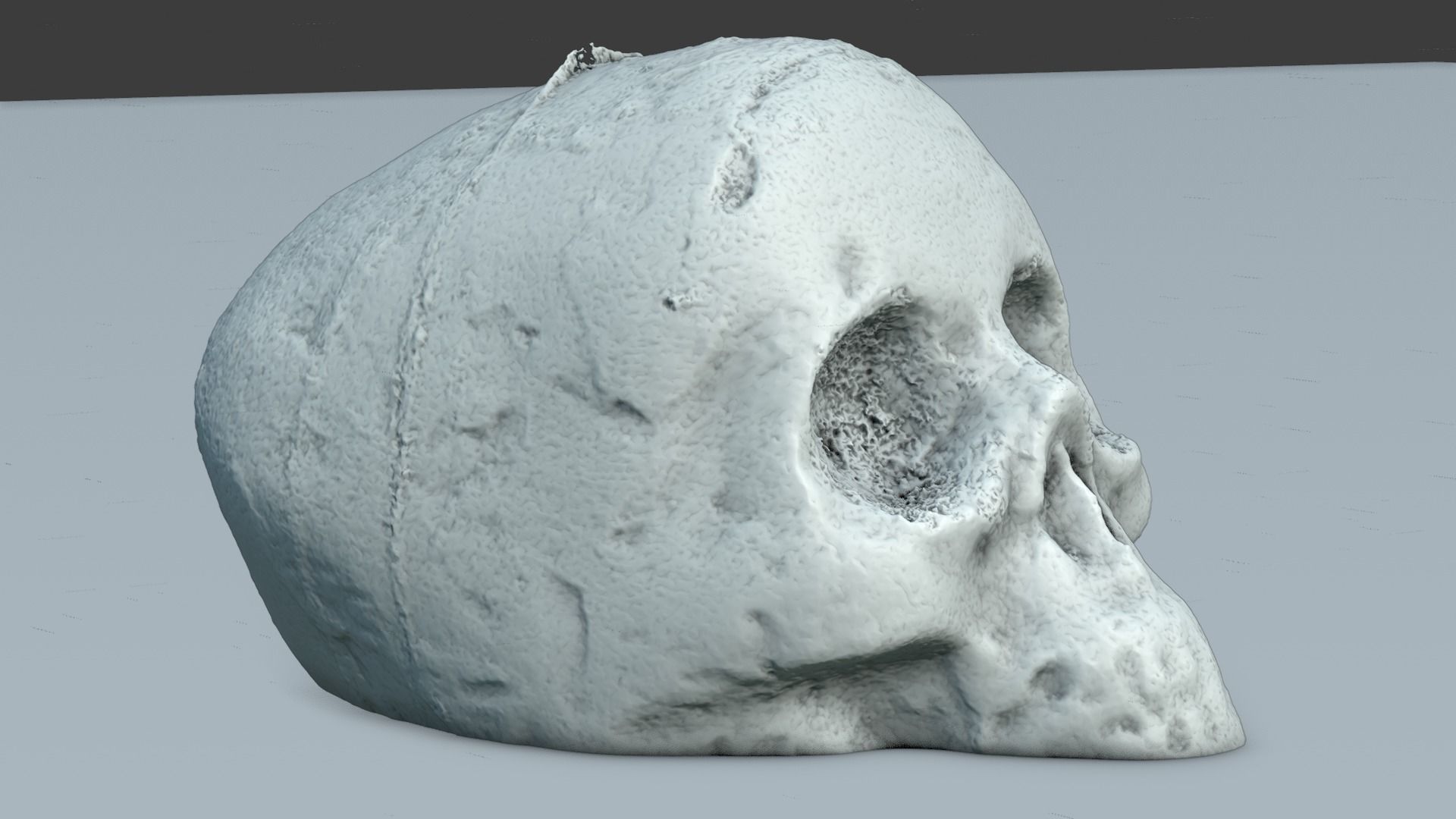 Realistic high resolution human Skulls 3D model_14