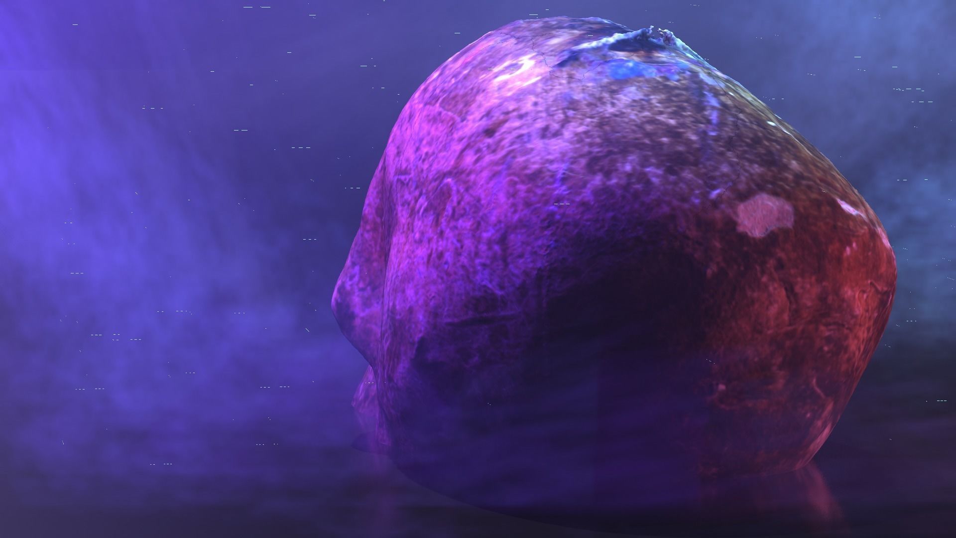 Realistic high resolution human Skulls 3D model_20