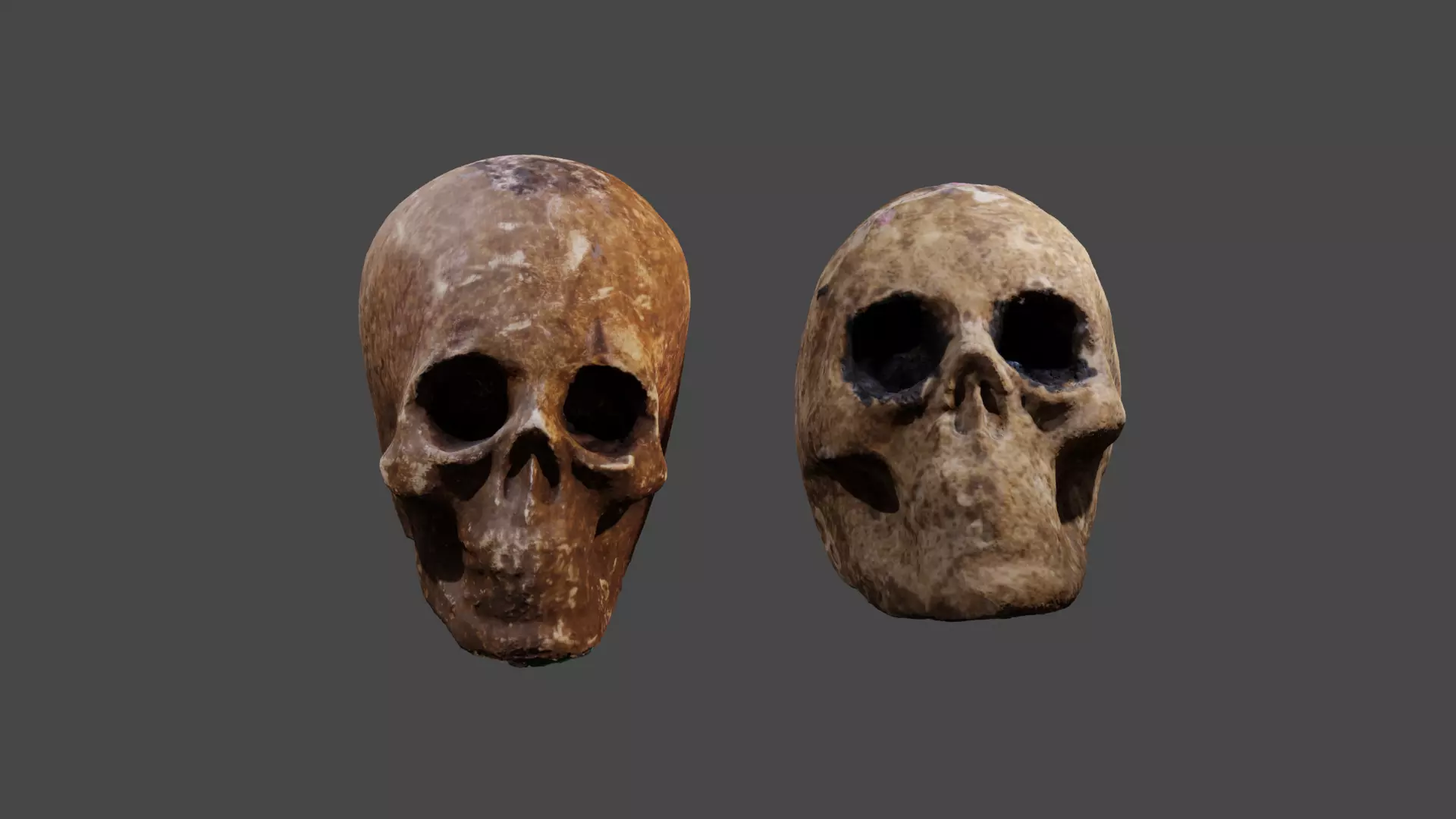 Realistic high resolution human Skulls 3D model_0