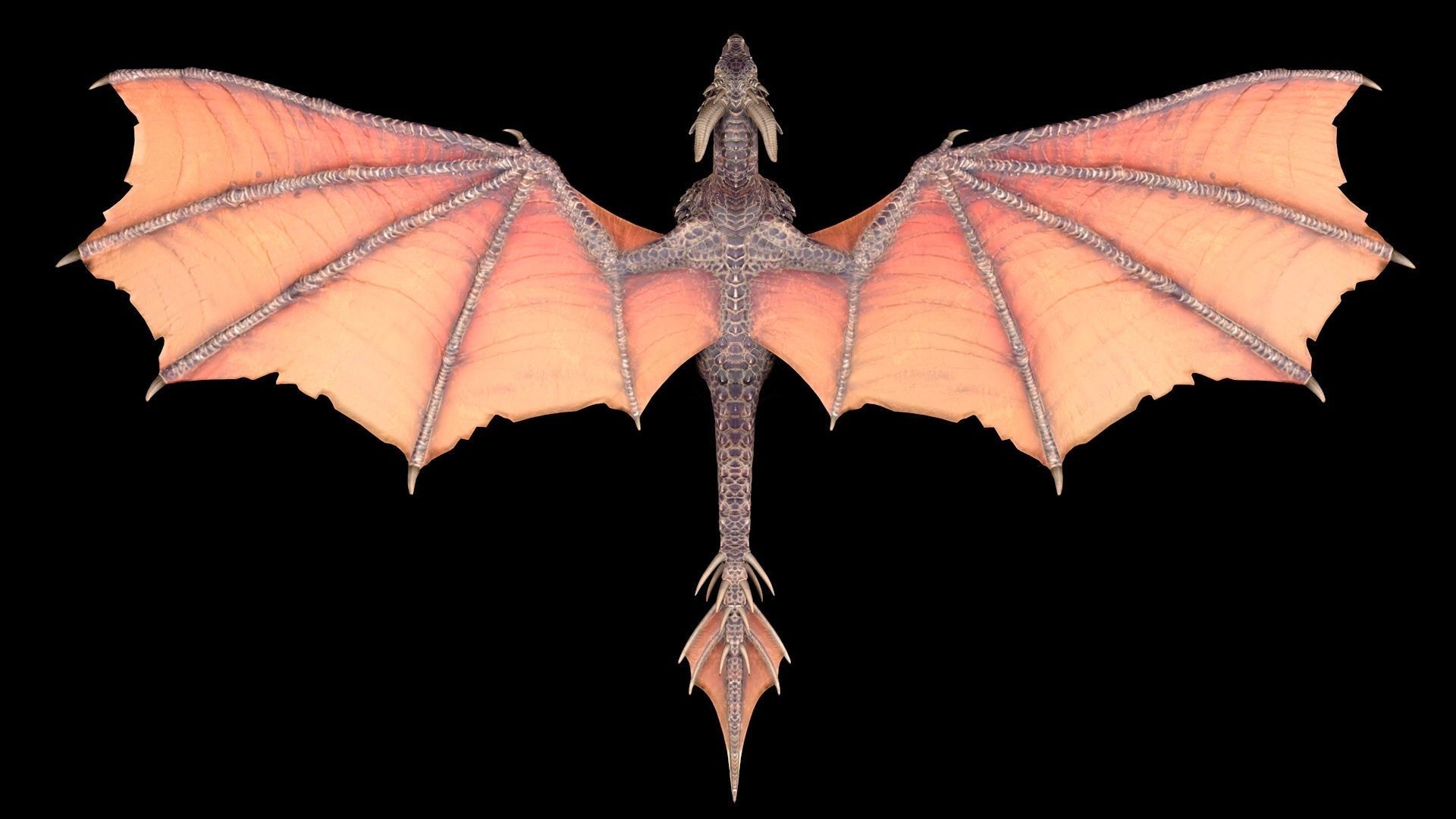 Dragon orange flying Low-poly 3D model_6