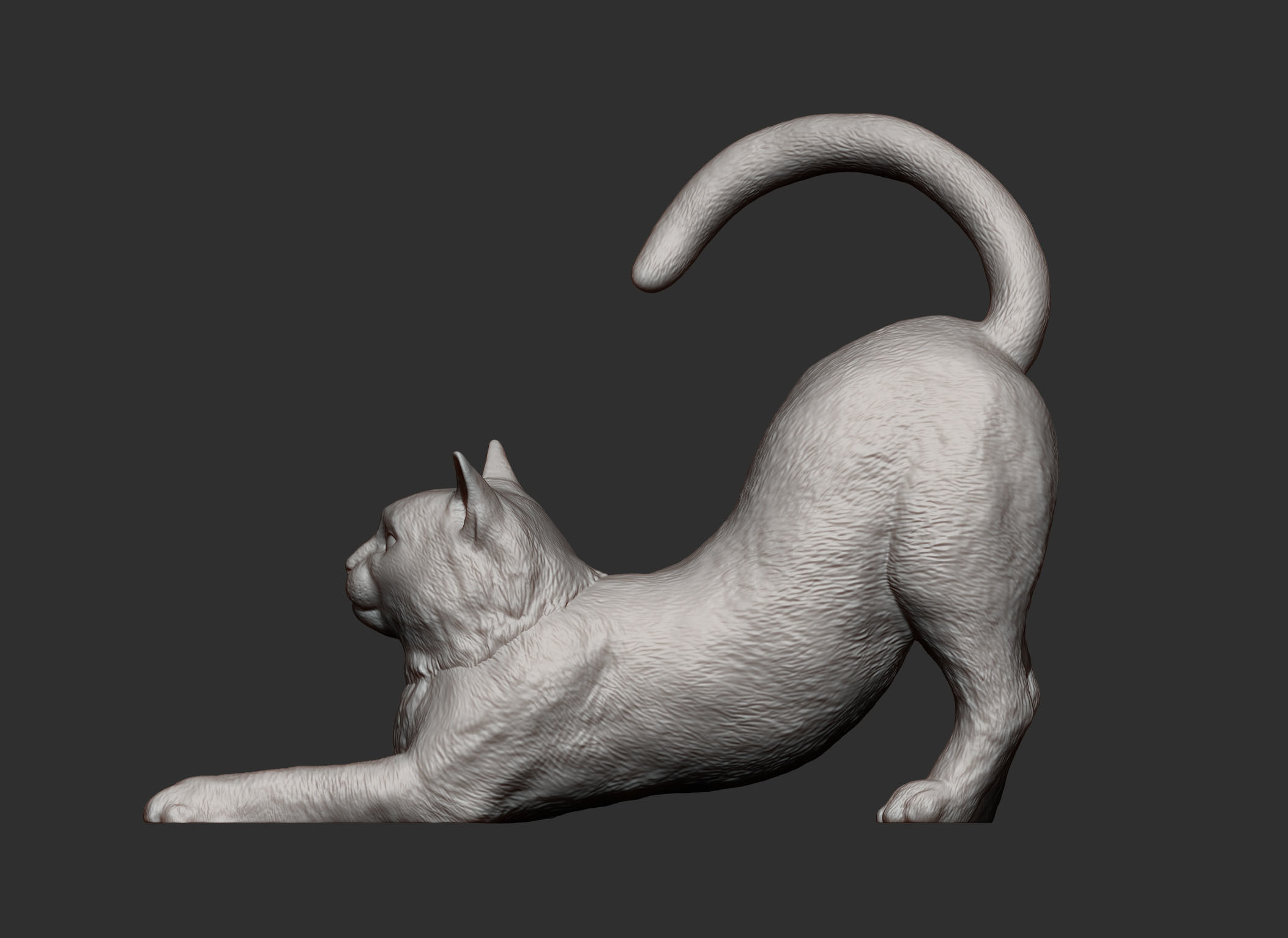 Cat for 3d printing  3D print model_4
