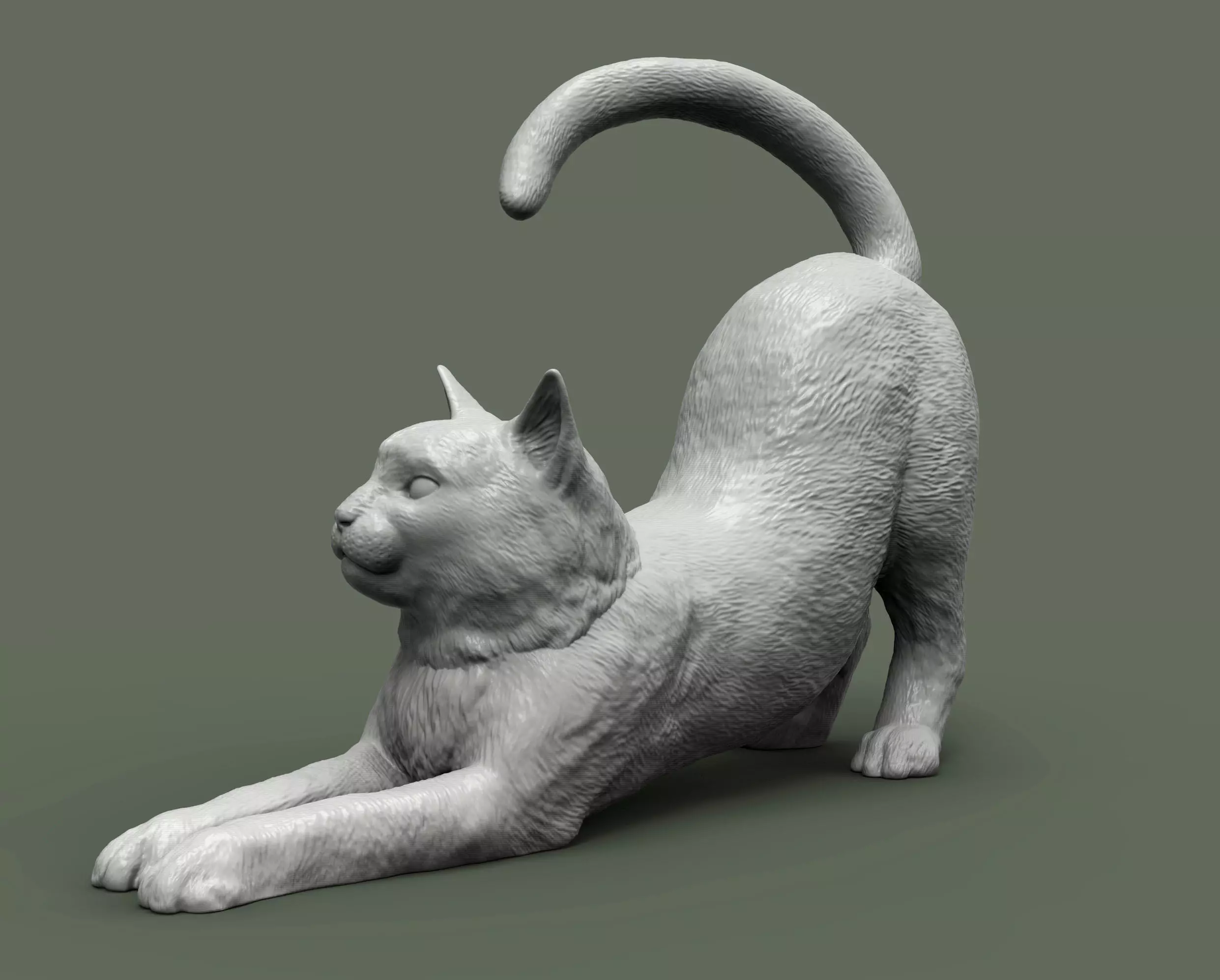 Cat for 3d printing  3D print model_0