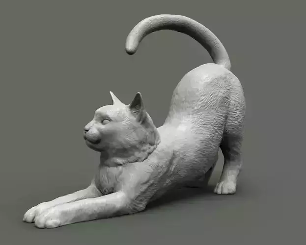 Cat for 3d printing  3D print model