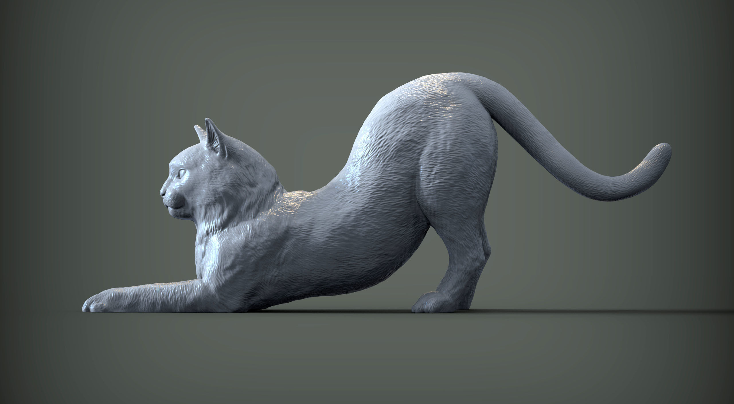 Cat for 3d printing  3D print model_7