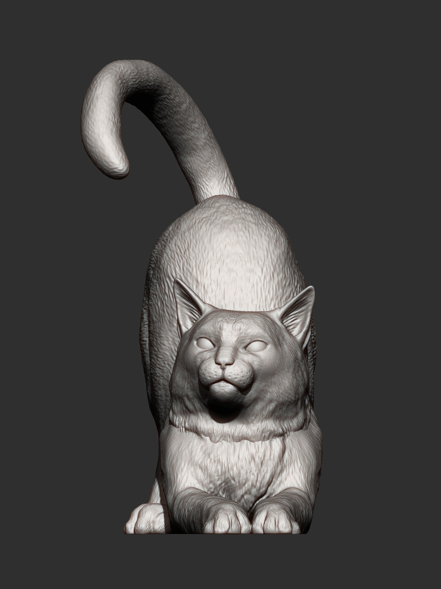 Cat for 3d printing  3D print model_5
