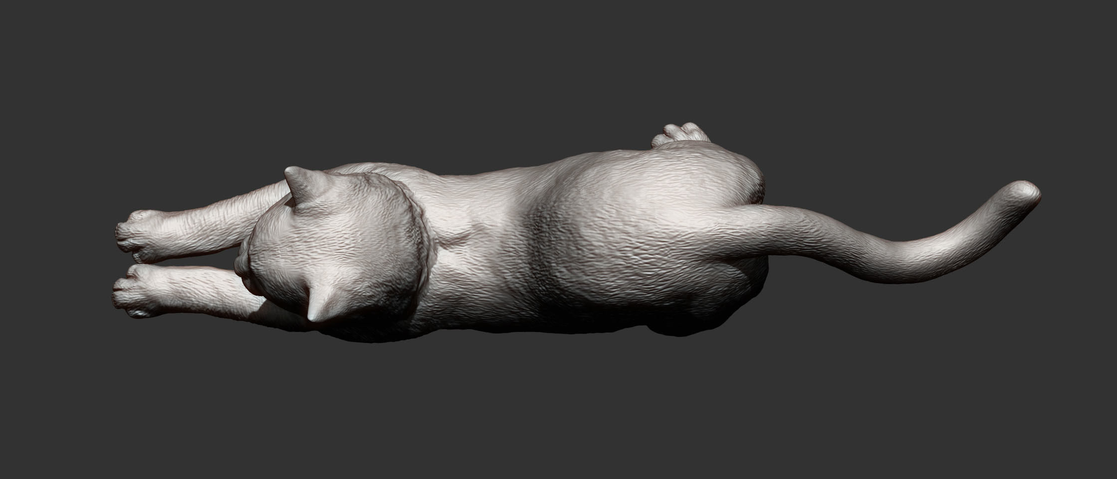Cat for 3d printing  3D print model_12