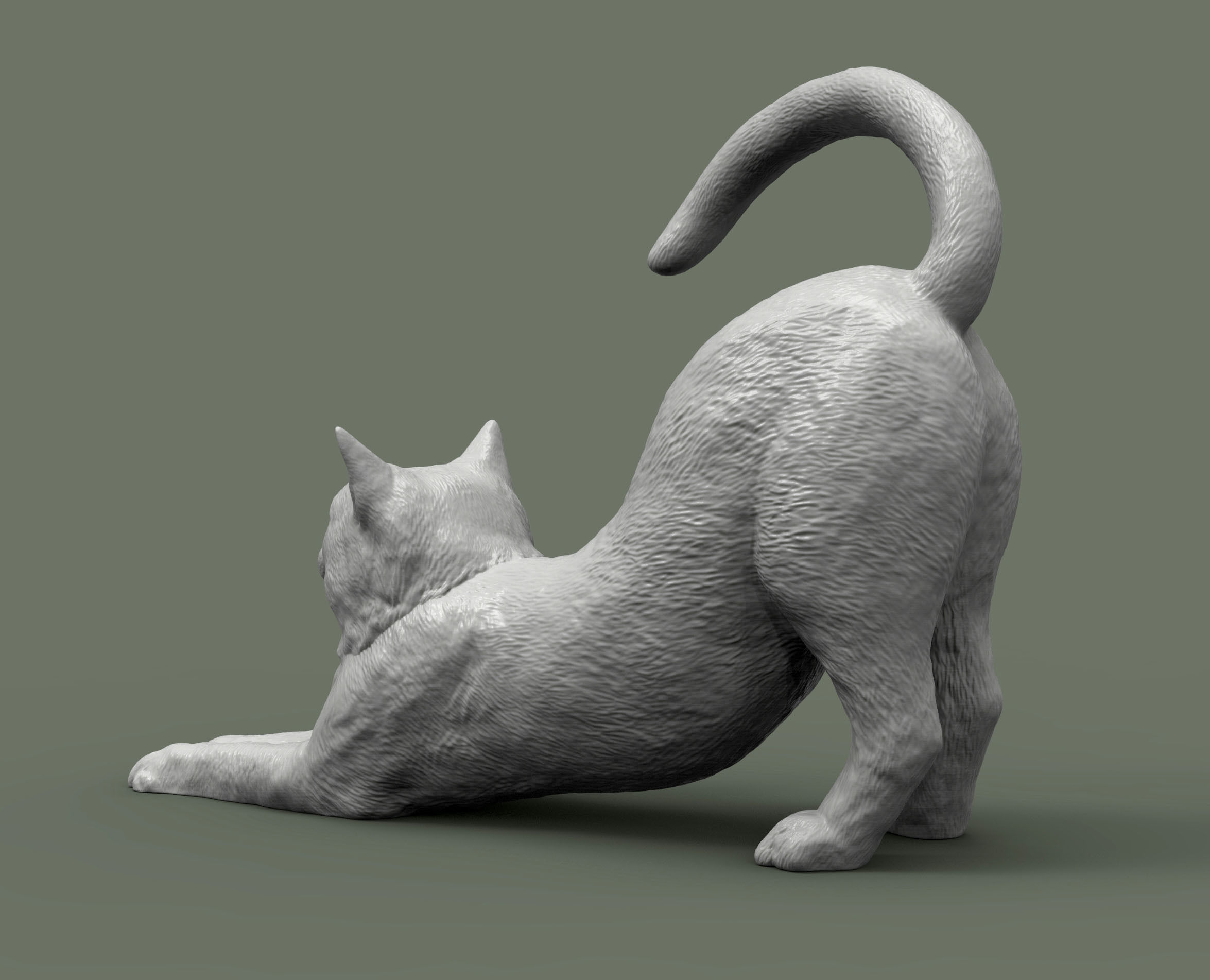 Cat for 3d printing  3D print model_1