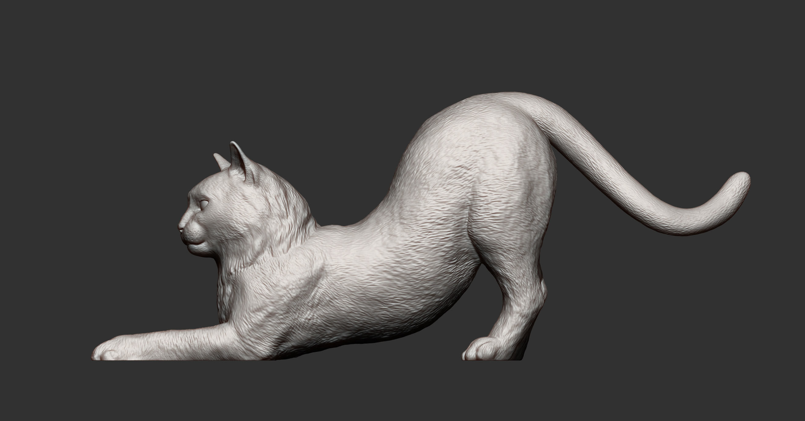 Cat for 3d printing  3D print model_15