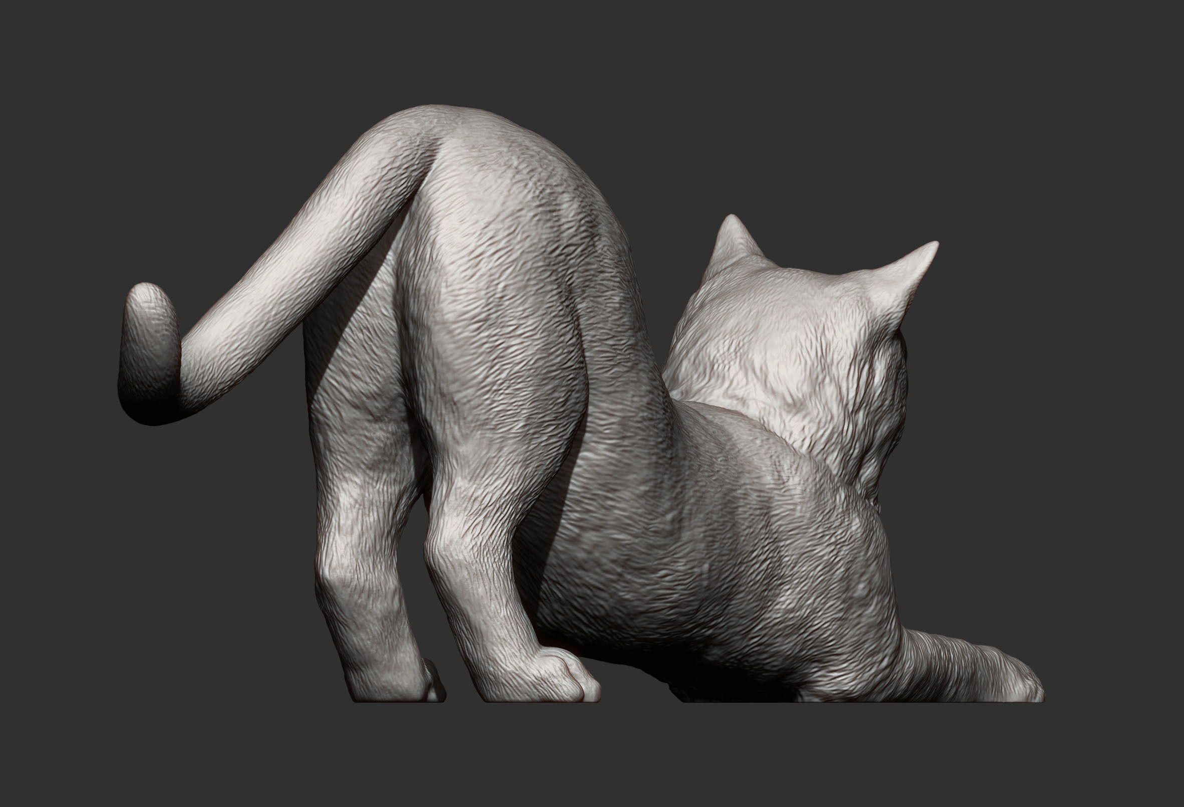 Cat for 3d printing  3D print model_13