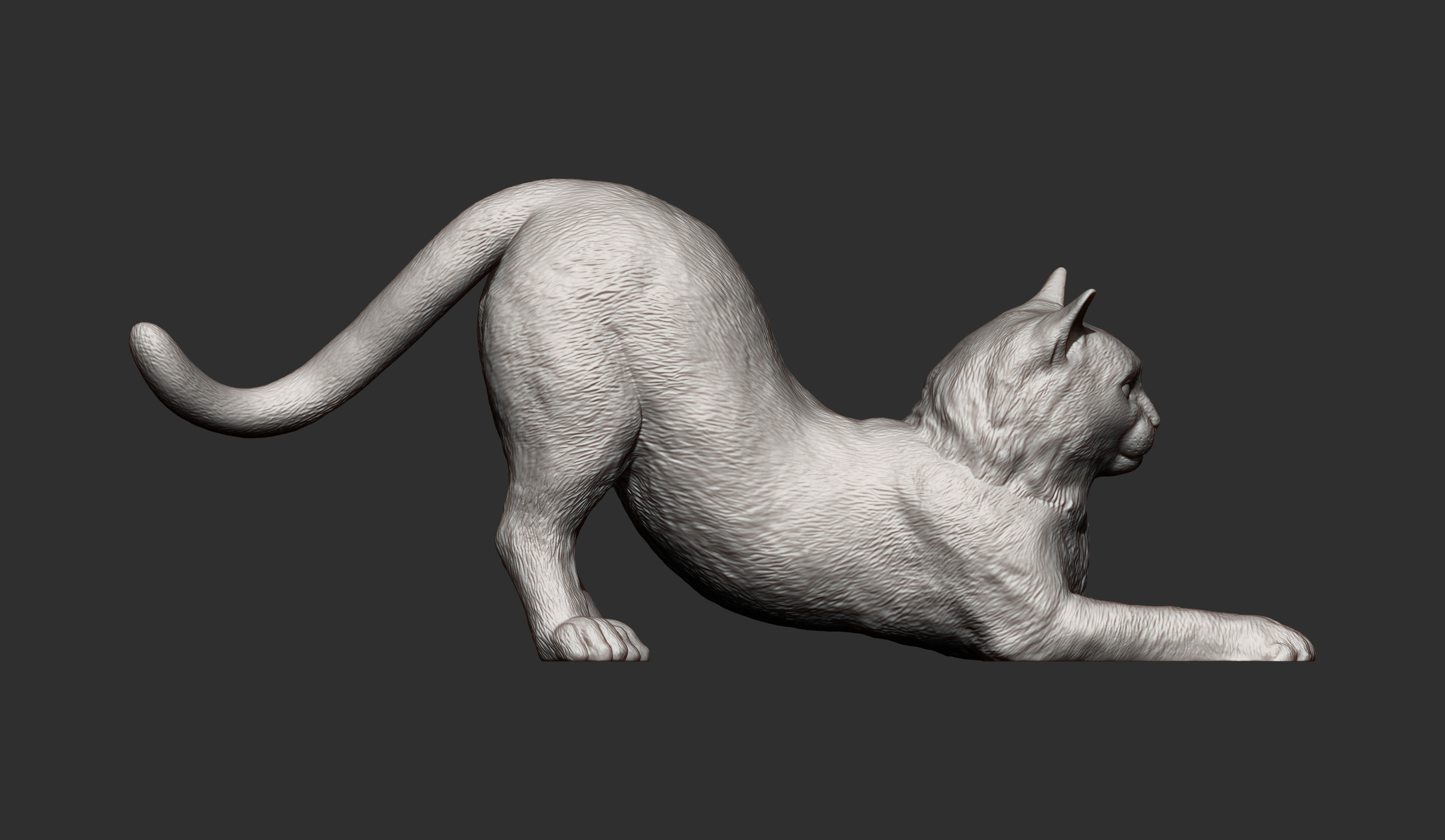 Cat for 3d printing  3D print model_11