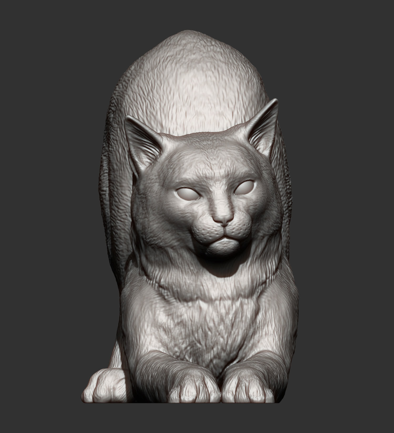 Cat for 3d printing  3D print model_14