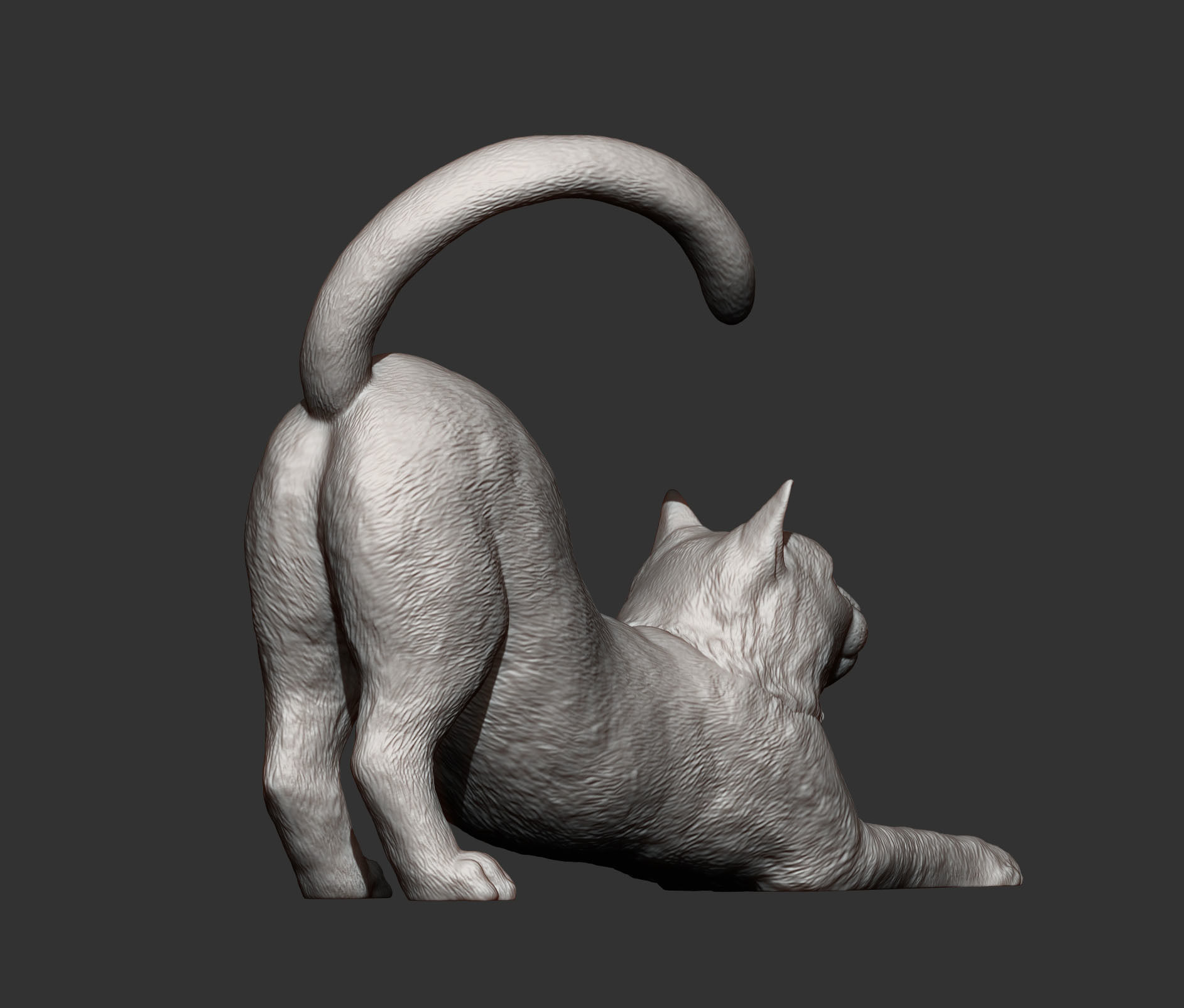 Cat for 3d printing  3D print model_3