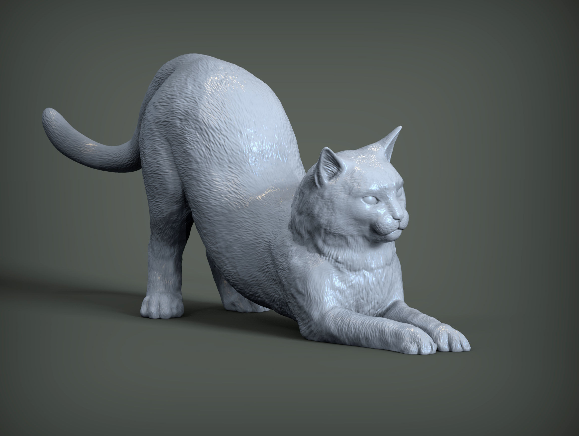 Cat for 3d printing  3D print model_9