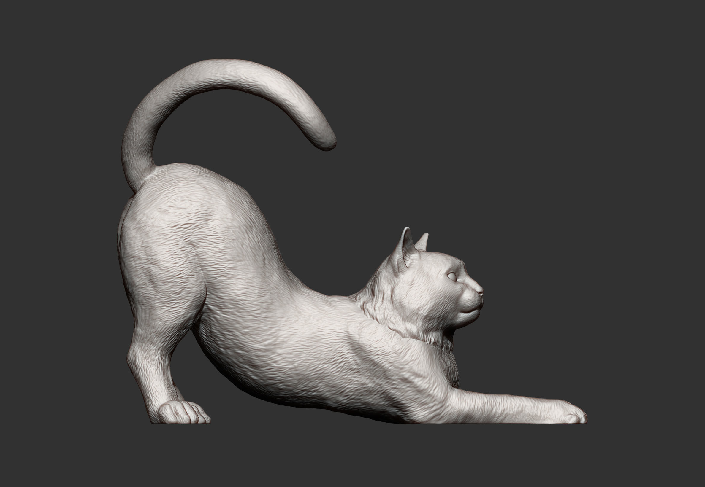 Cat for 3d printing  3D print model_2