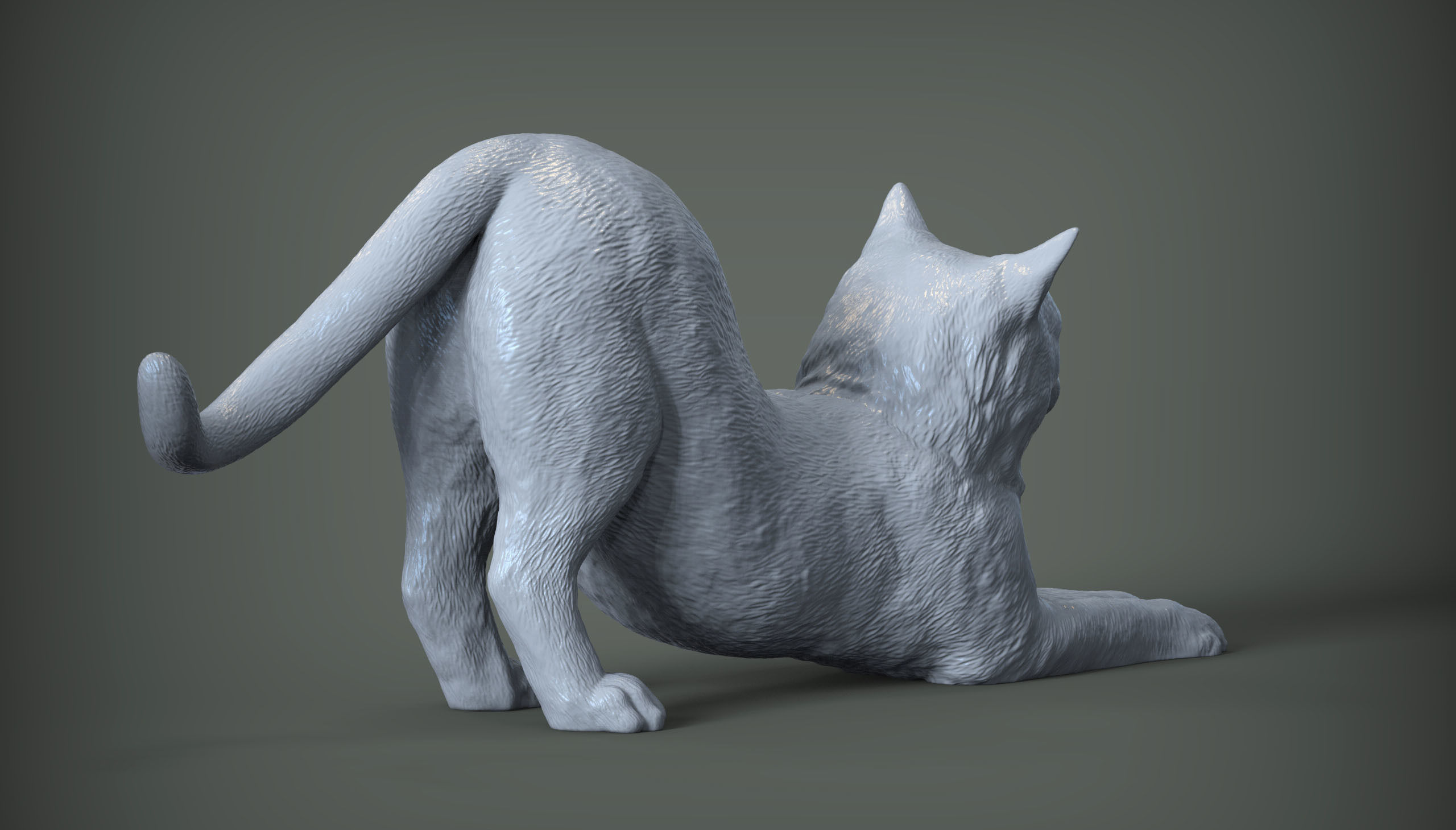Cat for 3d printing  3D print model_10