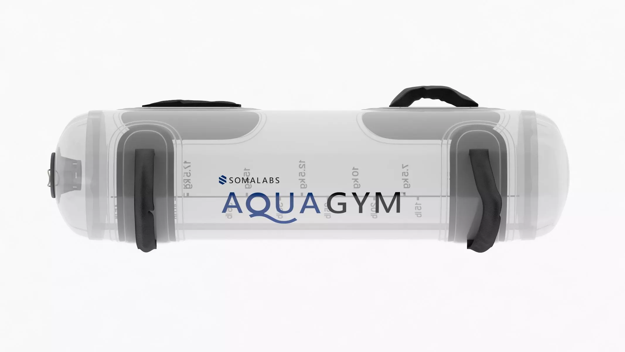Aqua Bag 3D model
