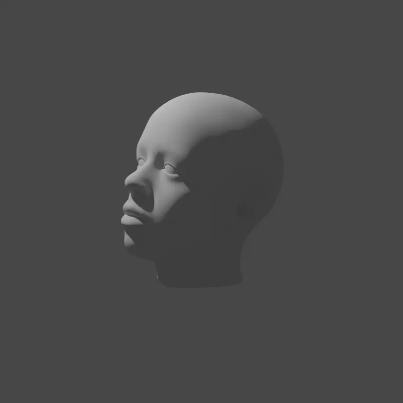 3d head human 3D model_0