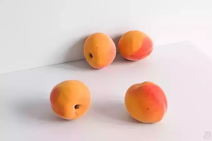 Apricot 3D model